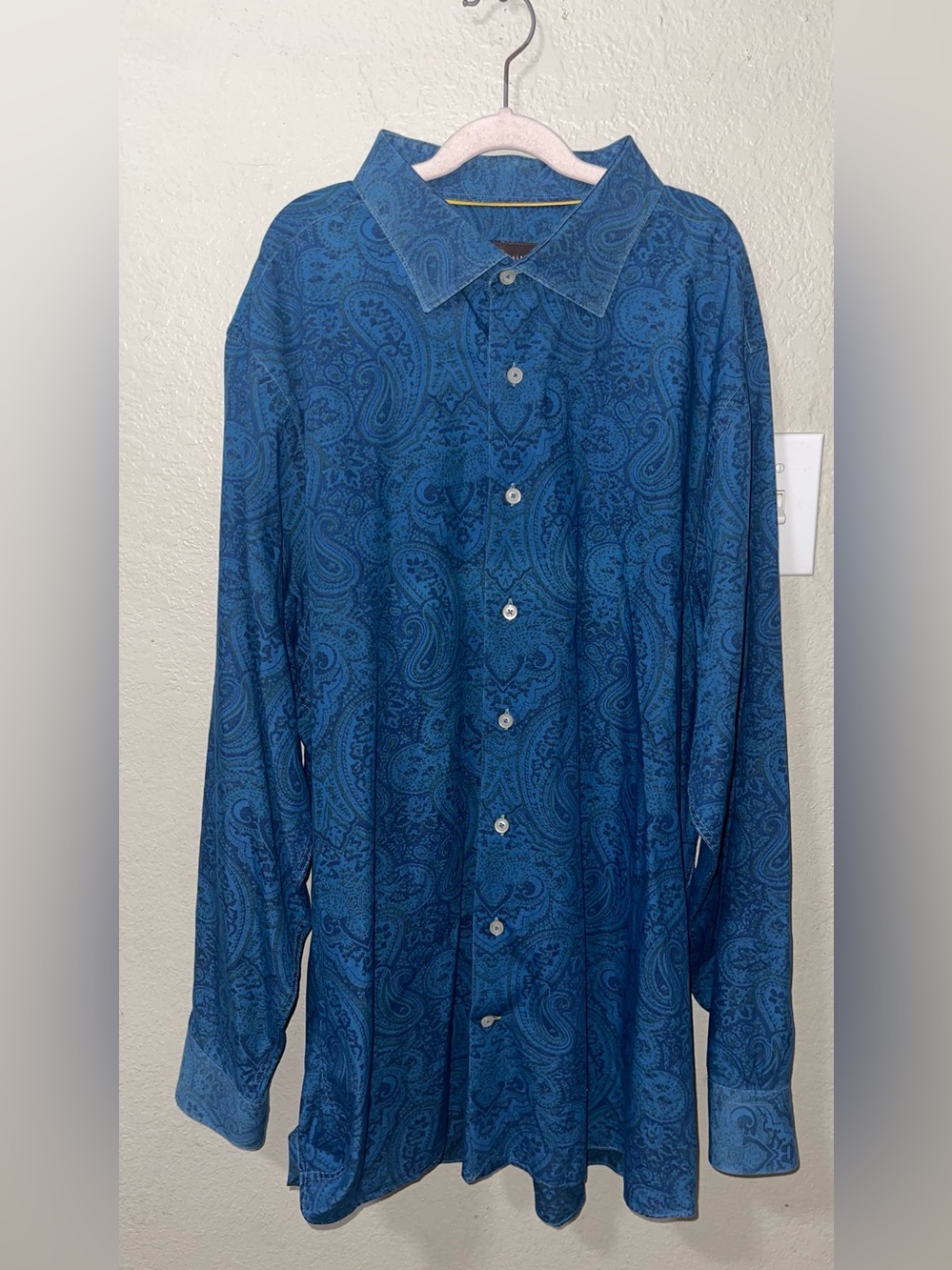 Robert Talbott Blue Paisley Long-Sleeve Button Shirt